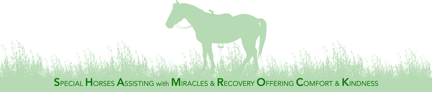 Special Horses Assisting with Miracles & Recovery Offering Comfort & Kindness